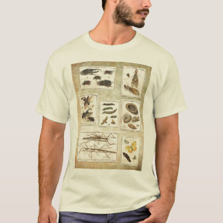 T-shirt com erros - ilustrações científicas