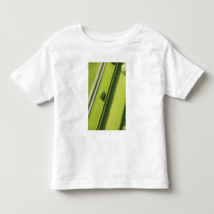 T-shirt Conversão no Hamptons