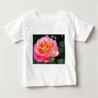 Coração da Rosa Dourada