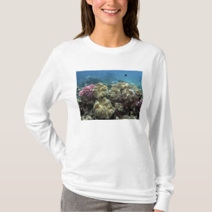 T-shirt Coral, Recife Agincourt, Grande Barreira de Coral,