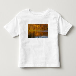 T-shirt Cores de outono no Parque Estadual Maplewood perto