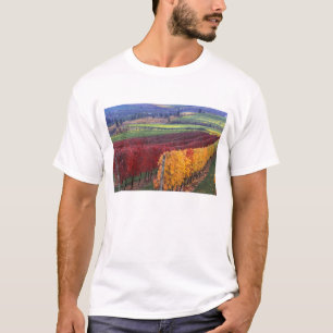 T-shirt Cores intensas de vermelho e amarelo no outono em