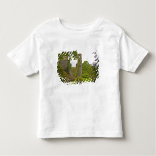 T-shirt Cork, Irlanda. O infame Castelo Blarney 2