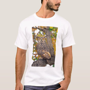 T-shirt Coruja-grande