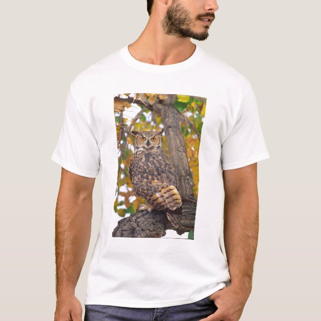 T-shirt Coruja-grande (Frente)