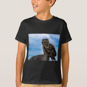 T-shirt Coruja Pássaros Natureza Animal Destino Paz Amor