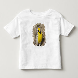 T-shirt Cotovia-de-barriga-amarela (Sturnella neglecta)