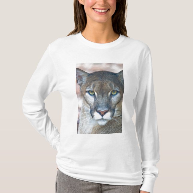 T-shirt Cougar, leão da montanha, Puma da Flórida (Frente)
