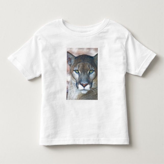 T-shirt Cougar, leão da montanha, Puma da Flórida (Frente)
