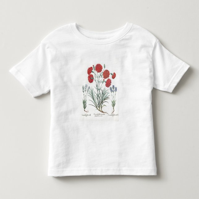 T-shirt Cravos e lavanda: 1.Caryophyllus maximus pl (Frente)