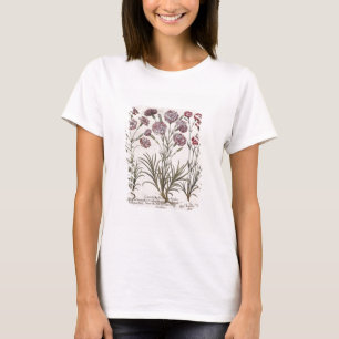 T-shirt Cravos: majore do flore 1.Caryophyllus; 2. Caryop