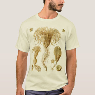 T-shirt Crinoids