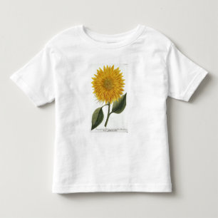 T-shirt Crisântemo Indicum 'de Pythanthoza Iconograph