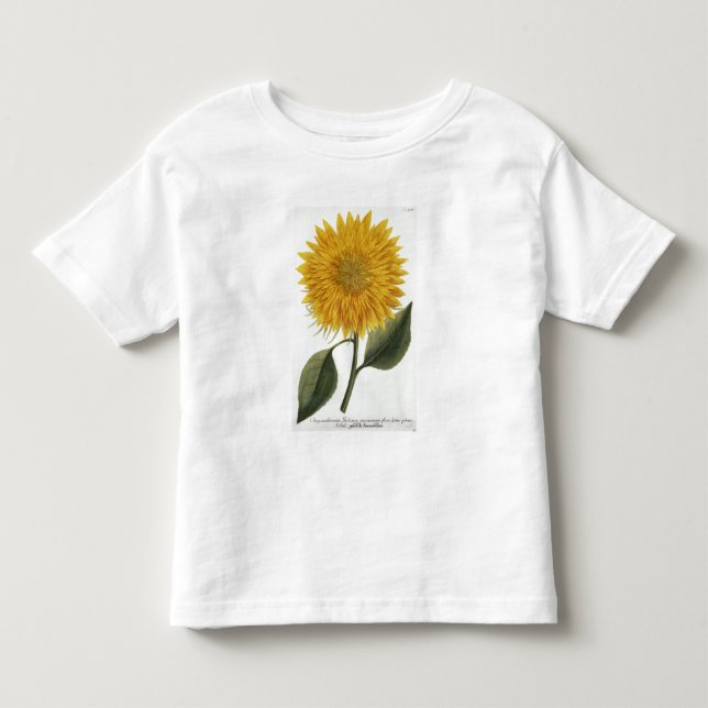 T-shirt Crisântemo Indicum 'de Pythanthoza Iconograph (Frente)