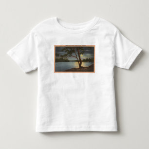 T-shirt Cumprimentos de Sumterville, Florida - lua