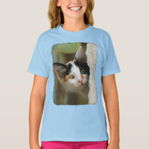 T-shirt Curioso Gatinho Gato Curioso Imprimindo Foto - Rag