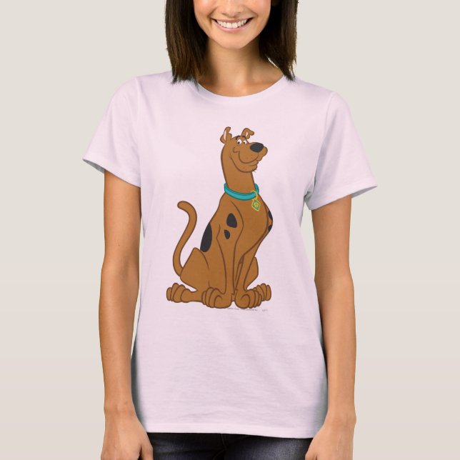 T-shirt Cutro De Scooby-Doo Que Bonito (Frente)