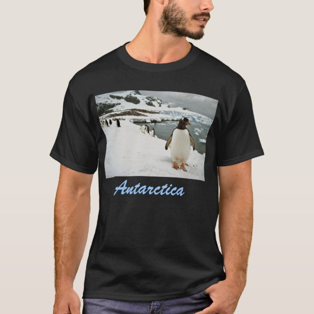 T-shirt da Antártica (Frente)