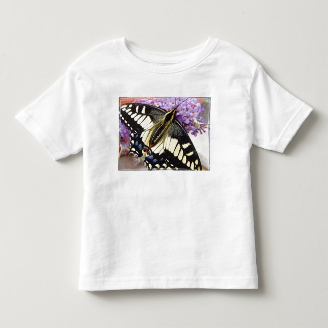 T-shirt da borboleta do swallowtail do anis (Frente)