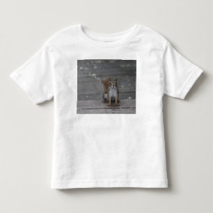 T-shirt da criança do esquilo