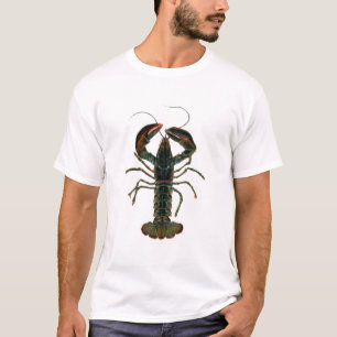 T-shirt da lagosta da aguarela