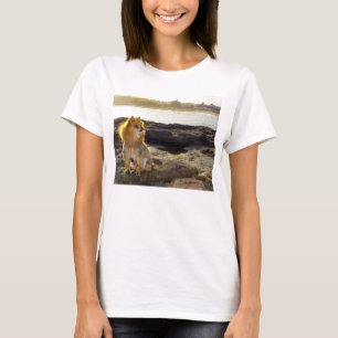 T-shirt da praia de Pomeranian