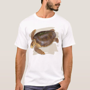 T-shirt da tartaruga de mar da boba