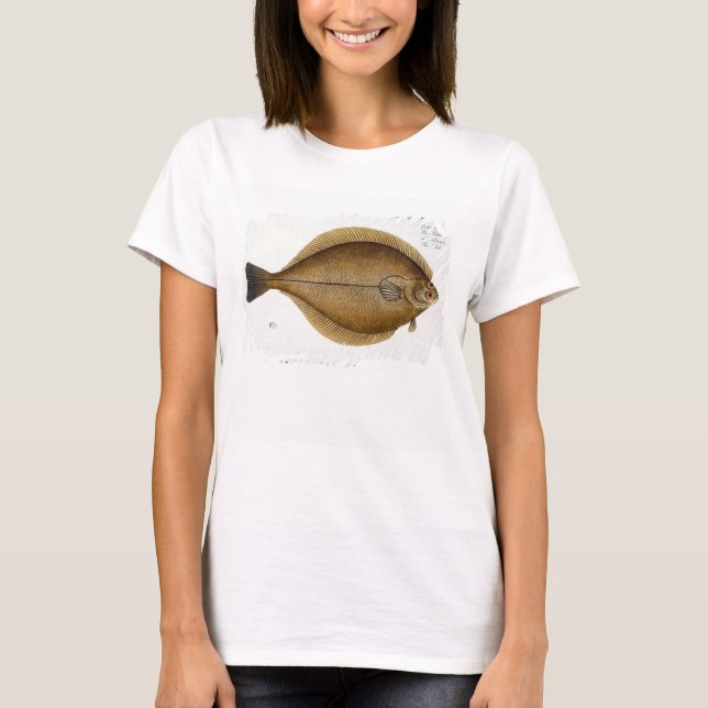 T-shirt Dab (Pleuronectes Limanda) placa XLVI de 'Ichthy (Frente)