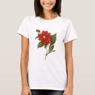 T-shirt Dália (dália Pinnata)