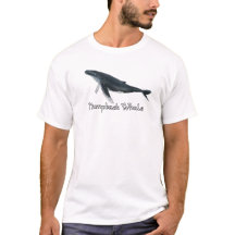 T-Shirt de Baleia Jubarte