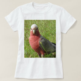 T-shirt de Galah