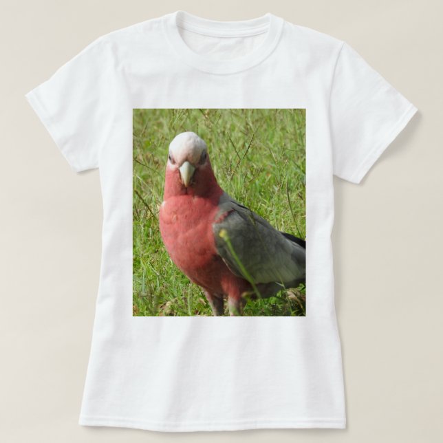 T-shirt de Galah (Frente do Design)