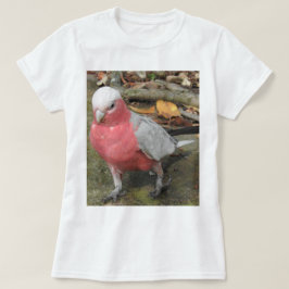 T-shirt de Galah