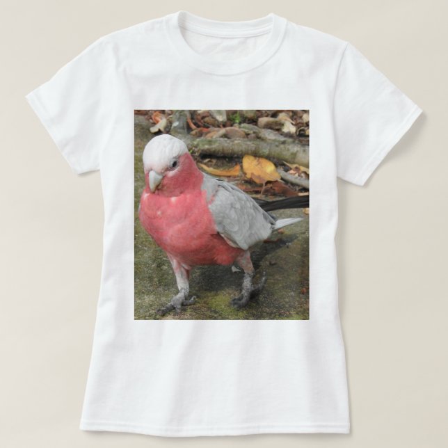 T-shirt de Galah (Frente do Design)