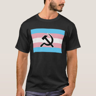 T-Shirt de Martelo de Orgulho Trans e Doença