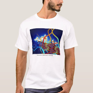 T-shirt de Paramoosium