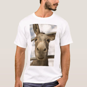 T-shirt de sorriso do Burro