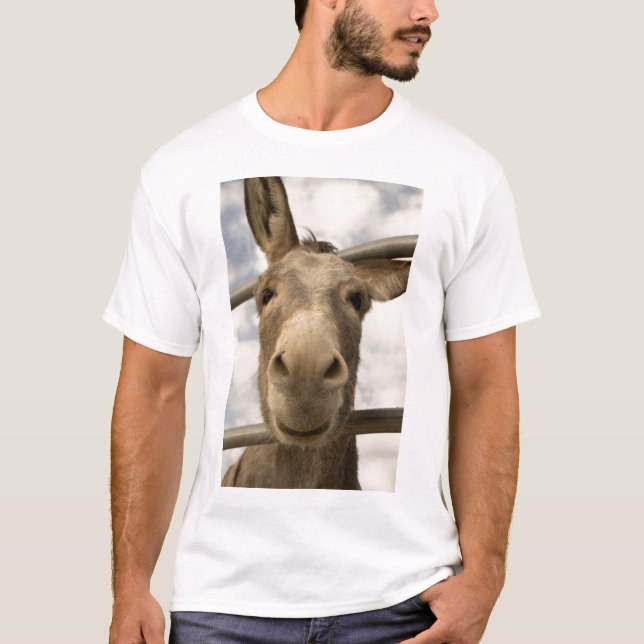 T-shirt de sorriso do Burro (Frente)