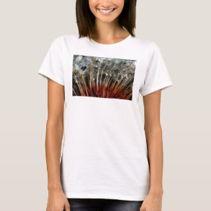 T-shirt Dente-de-leão e gotas de água, CA