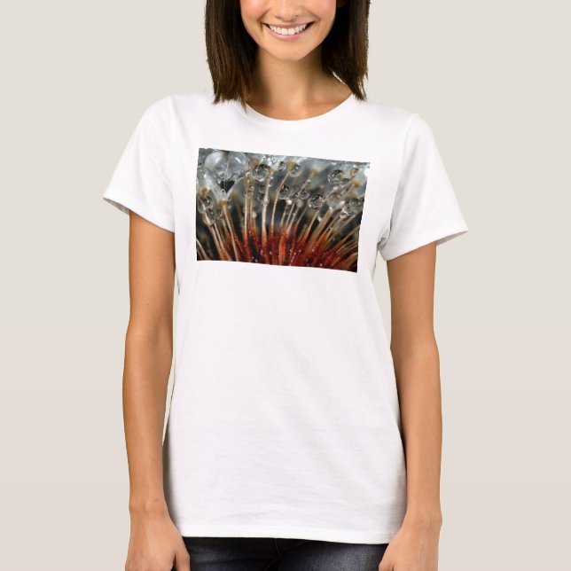 T-shirt Dente-de-leão e gotas de água, CA (Frente)