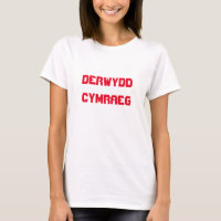 Derwydd Cymraeg, Druida do País de Gales