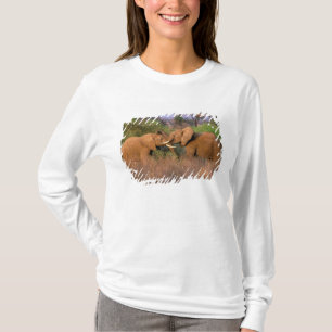 T-shirt Desafio de elefante, África, Quênia, Samburu