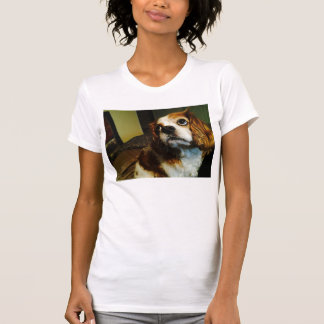 T-shirt descuidados do Spaniel de rei Charles