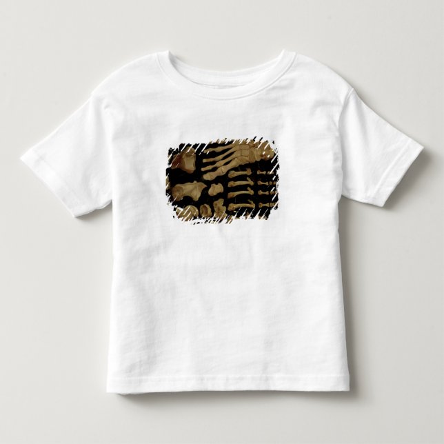 T-shirt Desenho anatômico dos ossos do pé (Frente)