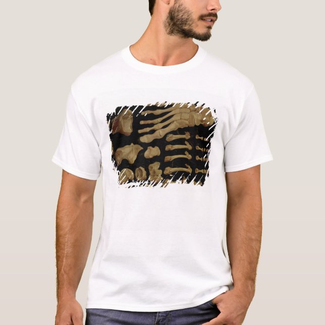 T-shirt Desenho anatômico dos ossos do pé (Frente)