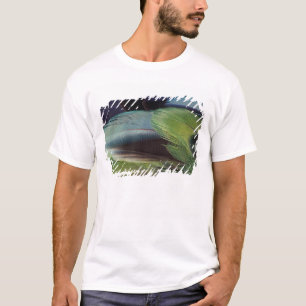 T-shirt desenho de padrão de pena de papagaio
