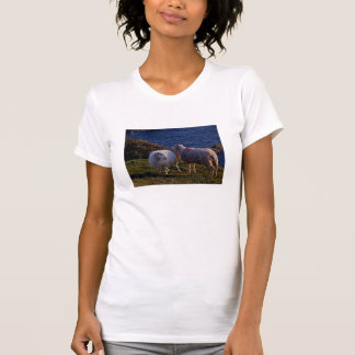 T-shirt Devon sul dois carneiros no litoral remoto
