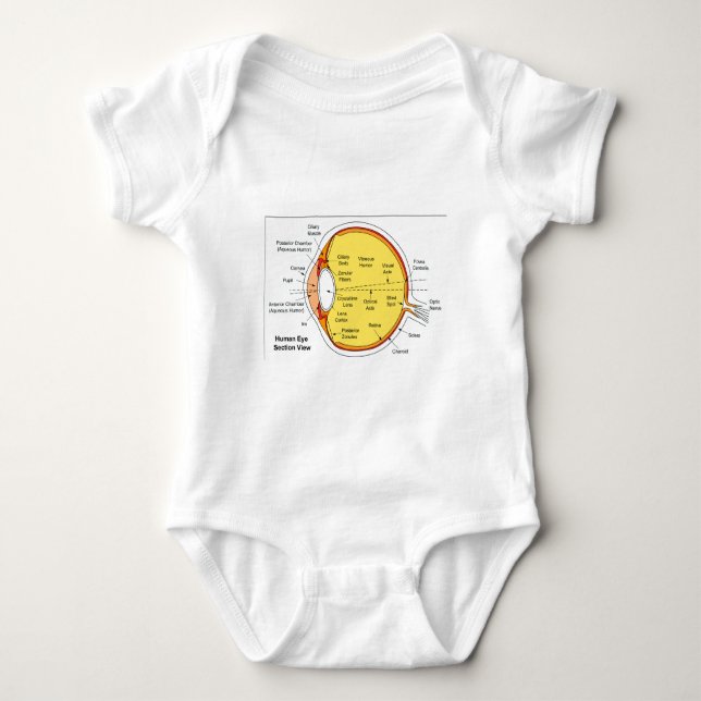 T-shirt Diagrama anatômico da bola do olho humano (Frente)
