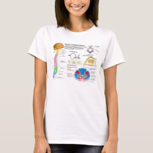 T-shirt Diagrama da coluna vertebral humana
