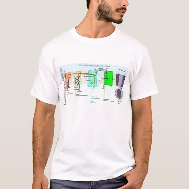 T-shirt Diagrama de espaço de Mitonchondrial Intermembrane (Frente)